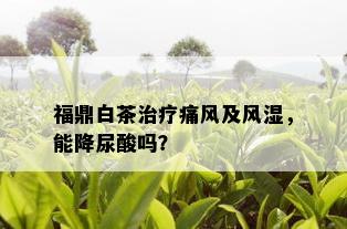 福鼎白茶治疗痛风及风湿，能降尿酸吗？