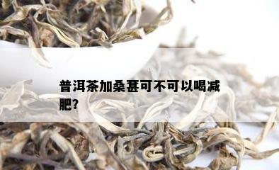 普洱茶加桑葚可不可以喝减肥？