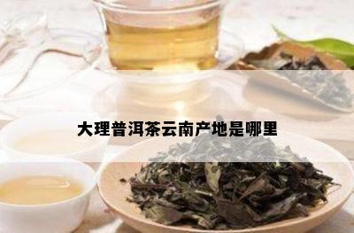 大理普洱茶云南产地是哪里