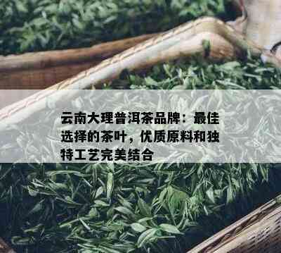 云南大理普洱茶品牌：更佳选择的茶叶，优质原料和独特工艺完美结合