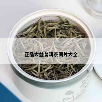 正品大益普洱茶图片大全