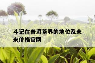 斗记在普洱茶界的地位及未来价格官网