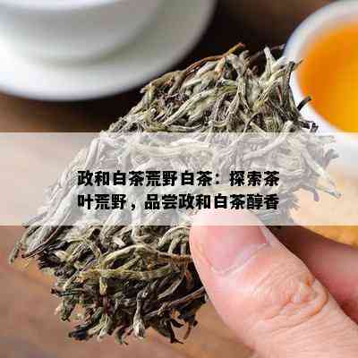 政和白茶荒野白茶：探索茶叶荒野，品尝政和白茶醇香