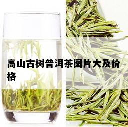 高山古树普洱茶图片大及价格