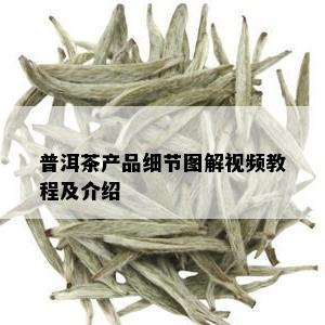 普洱茶产品细节图解视频教程及介绍