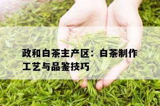 政和白茶主产区：白茶制作工艺与品鉴技巧