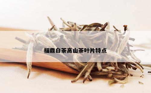 福鼎白茶高山茶叶片特点