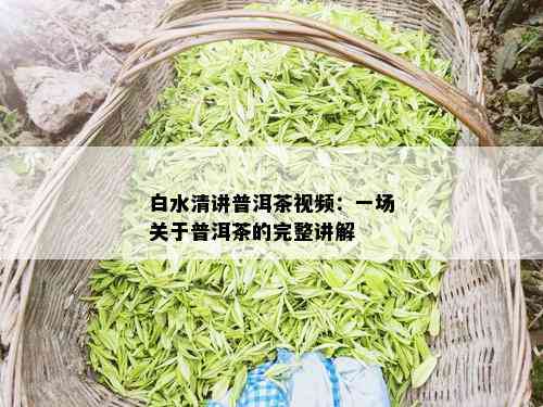 白水清讲普洱茶视频：一场关于普洱茶的完整讲解