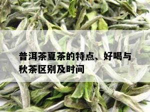 普洱茶夏茶的特点、好喝与秋茶区别及时间