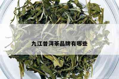 九江普洱茶品牌有哪些