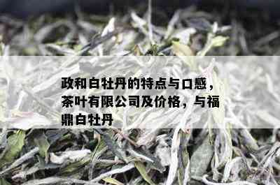 政和白牡丹的特点与口感，茶叶有限公司及价格，与福鼎白牡丹