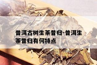 普洱古树生茶昔归-普洱生茶昔归有何特点