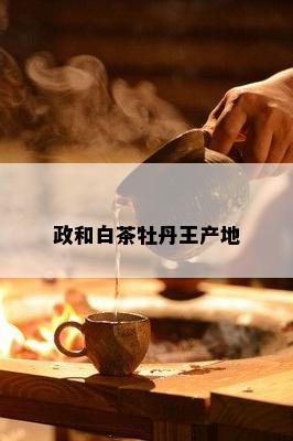 政和白茶牡丹王产地