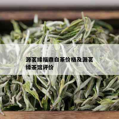 源茗缘福鼎白茶价格及源茗缘茶馆评价