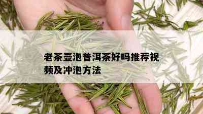 老茶壶泡普洱茶好吗推荐视频及冲泡方法