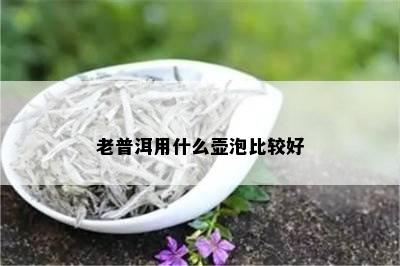 老普洱用什么壶泡比较好