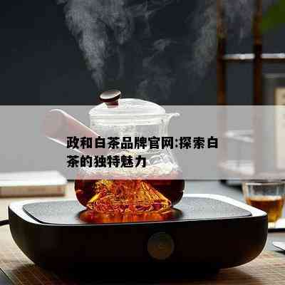 政和白茶品牌官网:探索白茶的独特魅力