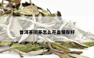 普洱茶团茶怎么开盖保存好