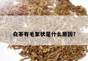 白茶有毛絮状是什么原因？