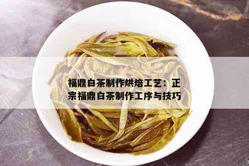 福鼎白茶制作烘焙工艺：正宗福鼎白茶制作工序与技巧