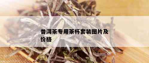 普洱茶专用茶杯套装图片及价格