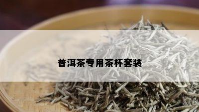 普洱茶专用茶杯套装