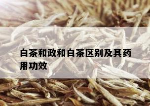 白茶和政和白茶区别及其药用功效