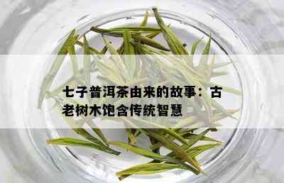 七子普洱茶由来的故事：古老树木饱含传统智慧