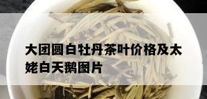 大团圆白牡丹茶叶价格及太姥白天鹅图片