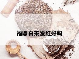 福鼎白茶发红好吗