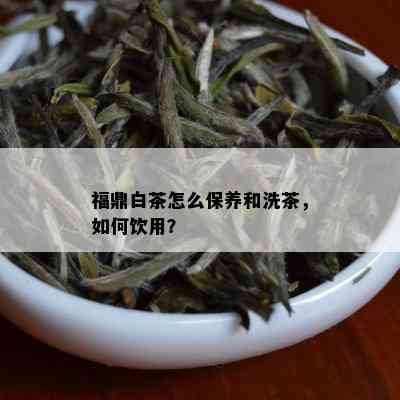 福鼎白茶怎么保养和洗茶，如何饮用？