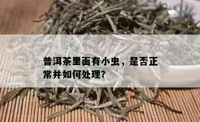 普洱茶里面有小虫，是否正常并如何处理？