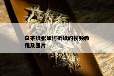 白茶纸张如何折纸的视频教程及图片