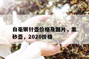 白毫银针壶价格及图片，紫砂壶，2020价格