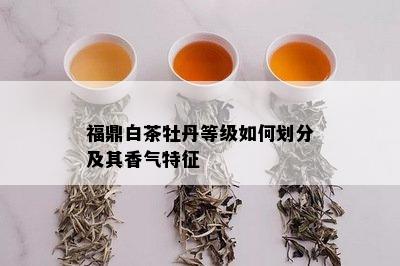 福鼎白茶牡丹等级如何划分及其香气特征