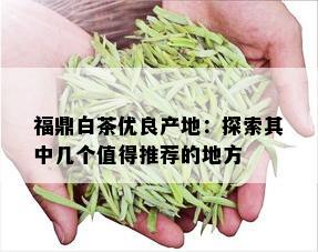 福鼎白茶优良产地：探索其中几个值得推荐的地方