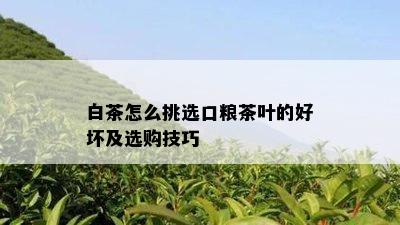 白茶怎么挑选口粮茶叶的好坏及选购技巧