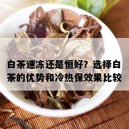 白茶速冻还是恒好？选择白茶的优势和冷热保效果比较