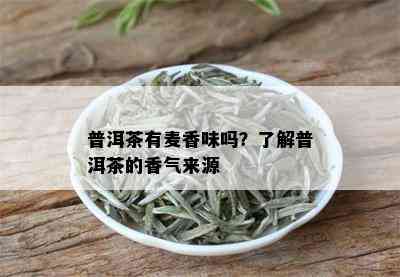 普洱茶有麦香味吗？了解普洱茶的香气来源