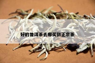 好的普洱茶去哪买到正宗茶