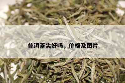 普洱茶尖好吗，价格及图片