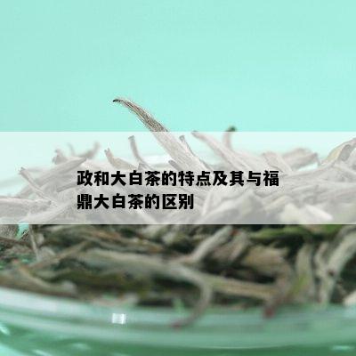 政和大白茶的特点及其与福鼎大白茶的区别