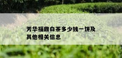 芳华福鼎白茶多少钱一饼及其他相关信息