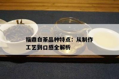 福鼎白茶品种特点：从制作工艺到口感全解析