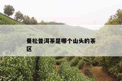 曼松普洱茶是哪个山头的茶区