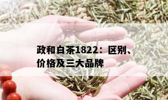 政和白茶1822：区别、价格及三大品牌