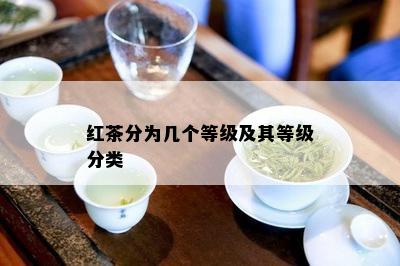 红茶分为几个等级及其等级分类