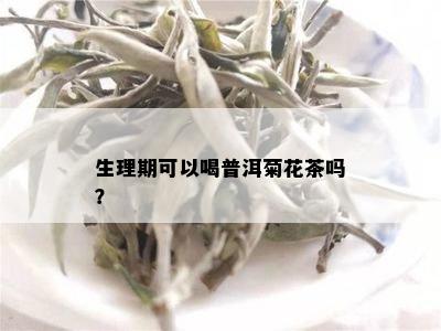 生理期可以喝普洱菊花茶吗？