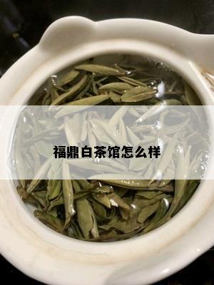 福鼎白茶馆怎么样