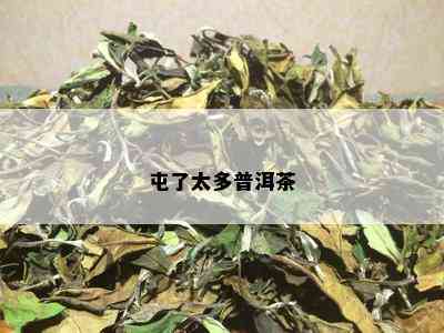 屯了太多普洱茶